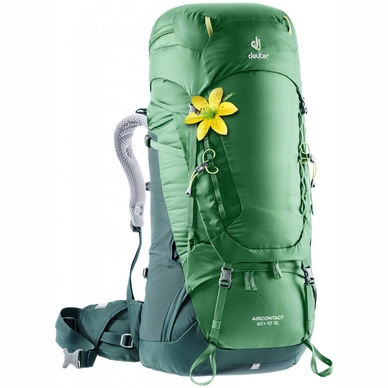 Backpack deuter Aircontact 60 + 10 SL Leaf Forest